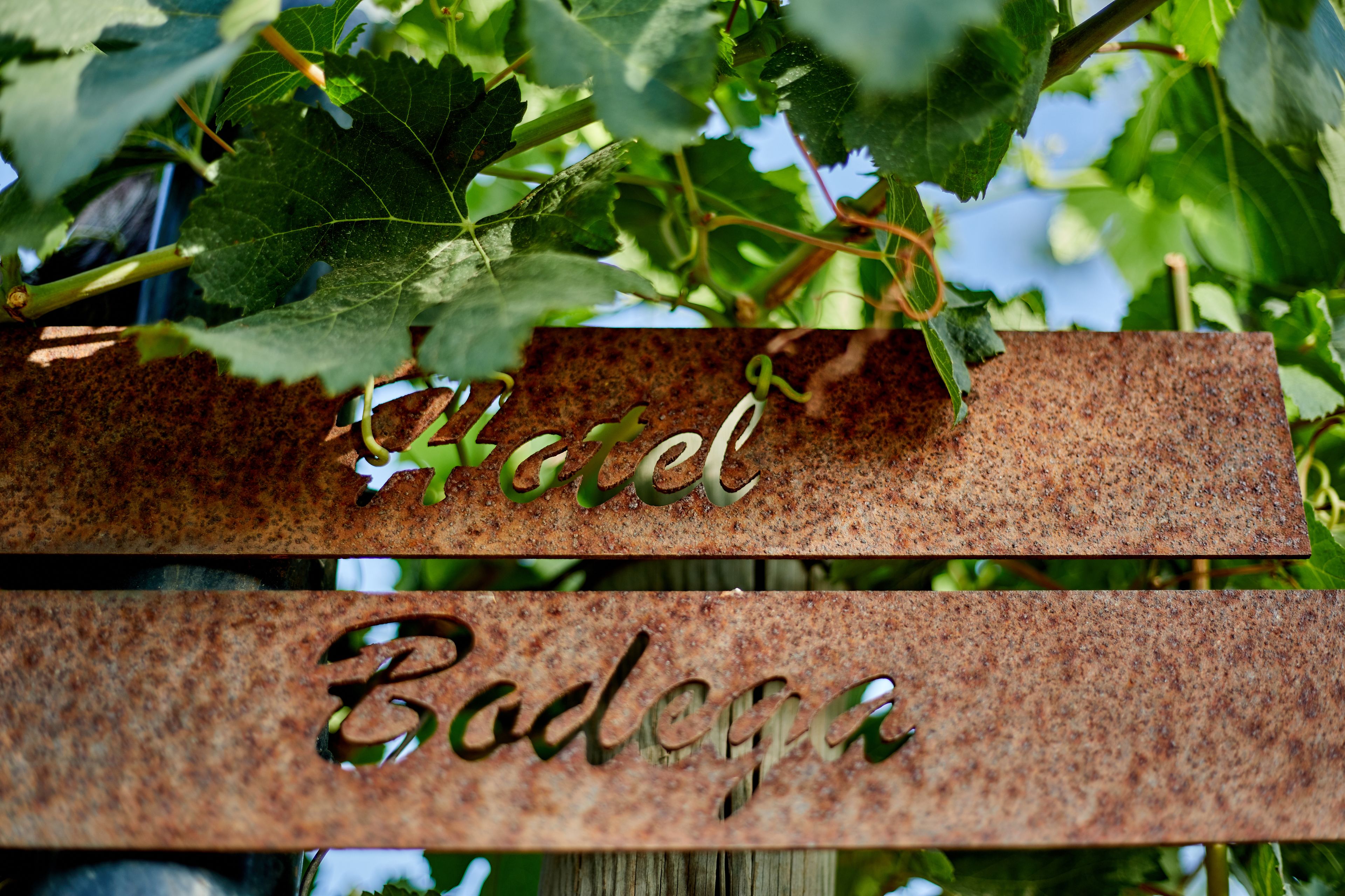 Photo - Agroturismo Sa Vinya des Convent