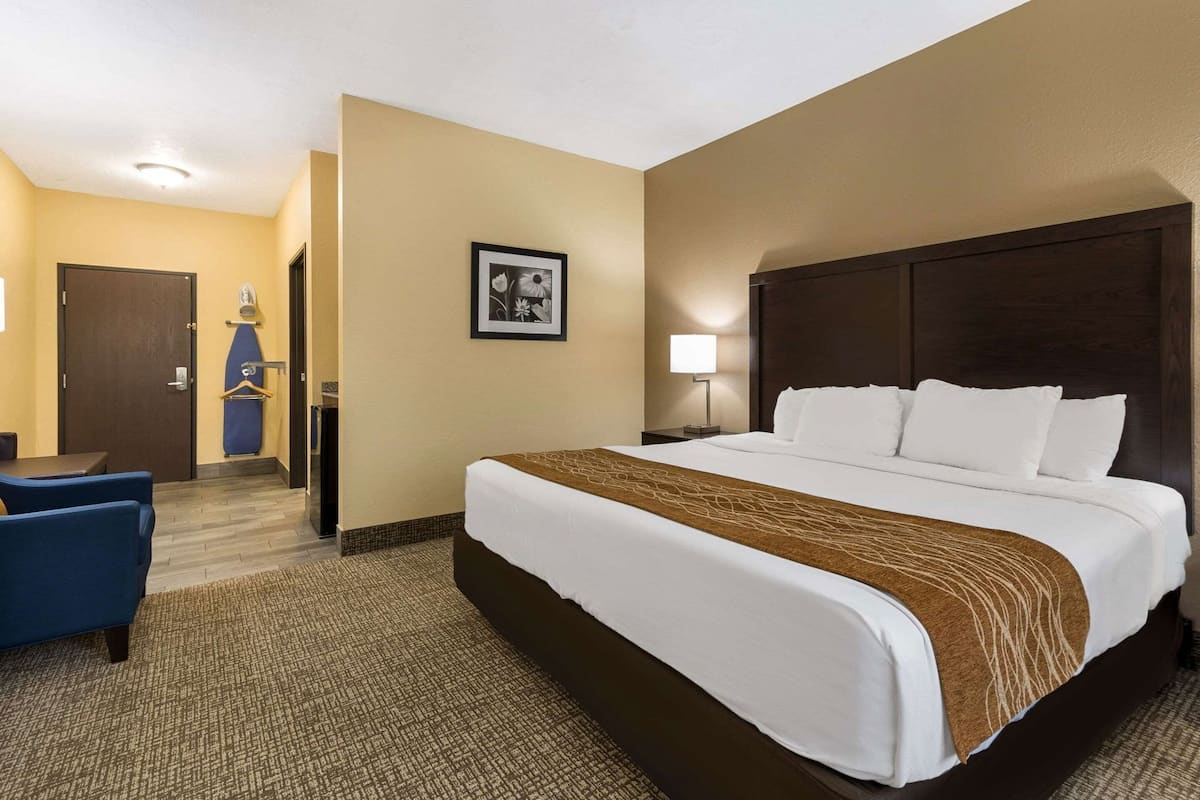 A hotel room with a large bed, a desk with a chair, a hanging coat rack, and a framed picture on the wall.