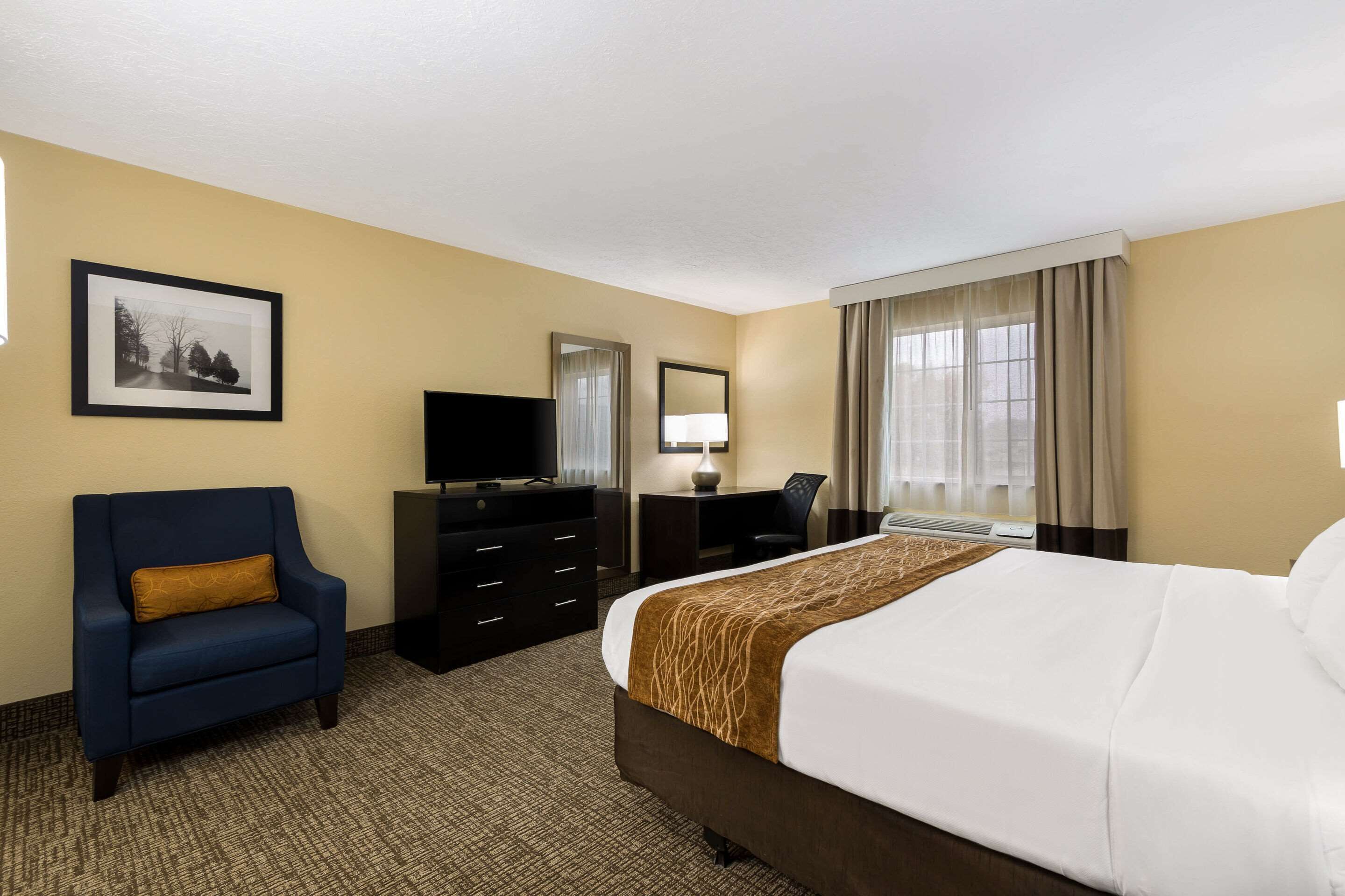 A hotel room with a large bed, a desk with a chair, a TV, a dresser, and a framed picture on the wall.