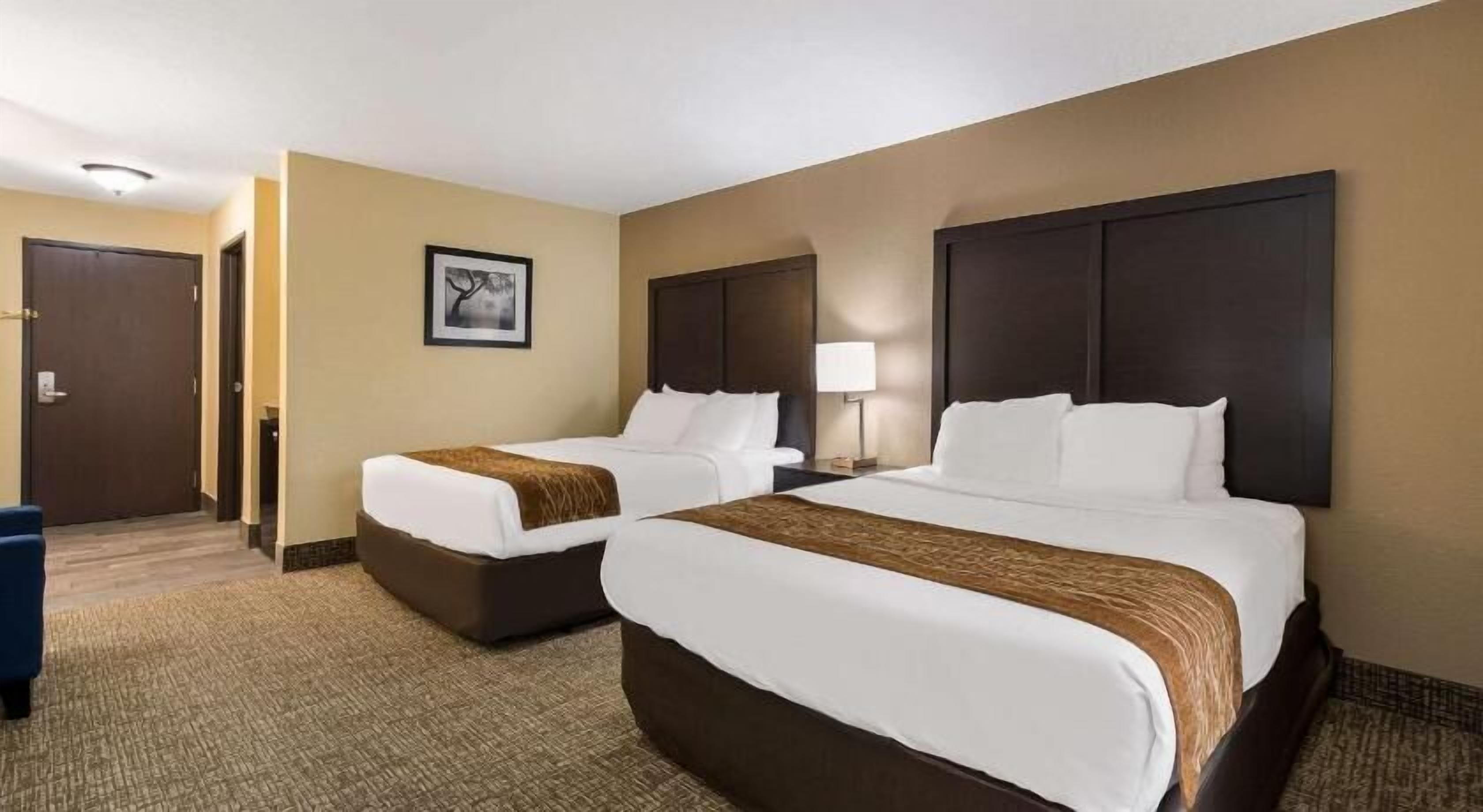 Premium bedding, down comforters, desk, laptop workspace