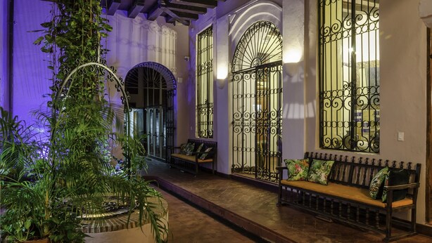 Un pasillo con un banco, una planta en maceta y una puerta con detalles de hierro forjado.