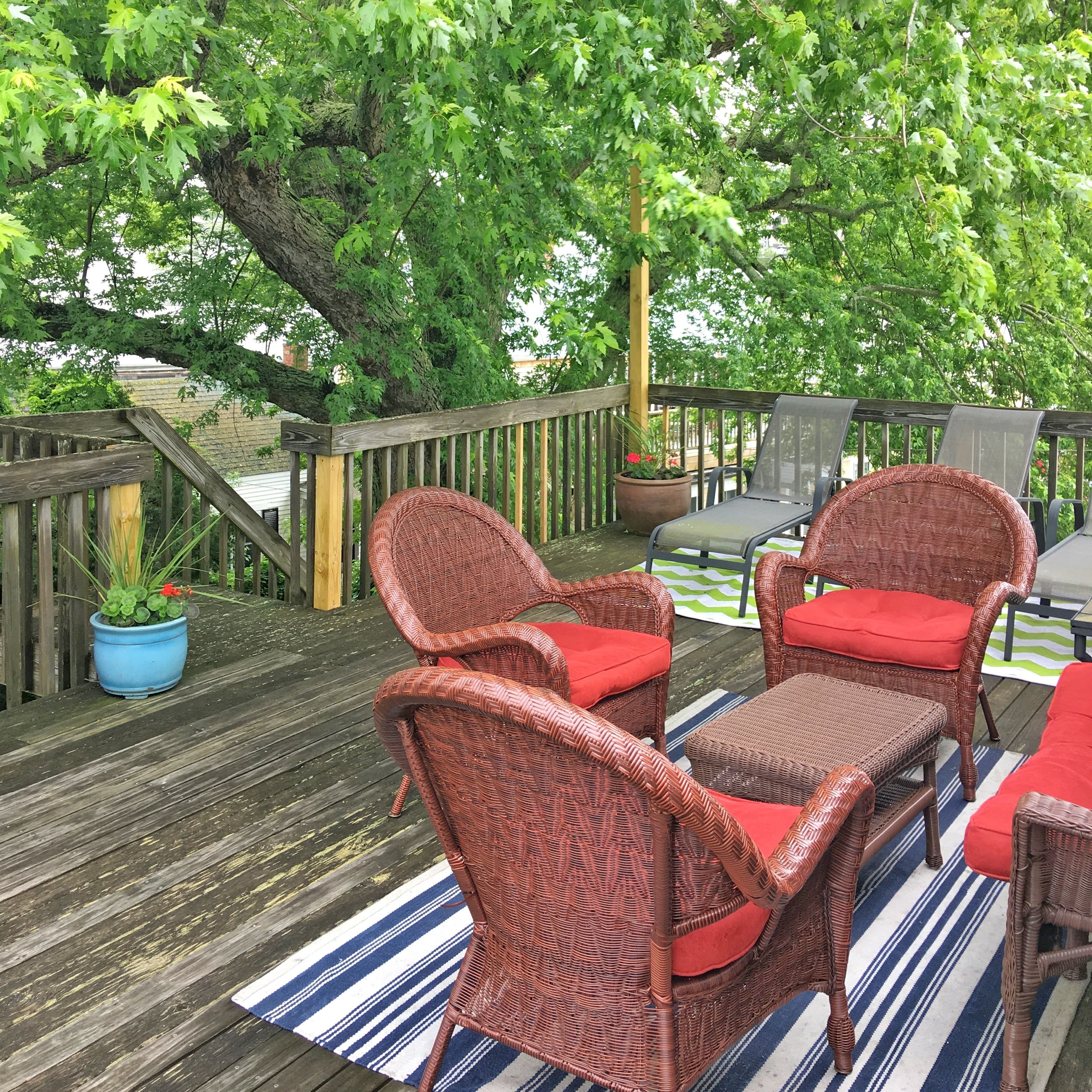 A wooden deck with wicker furniture and a potted plant.