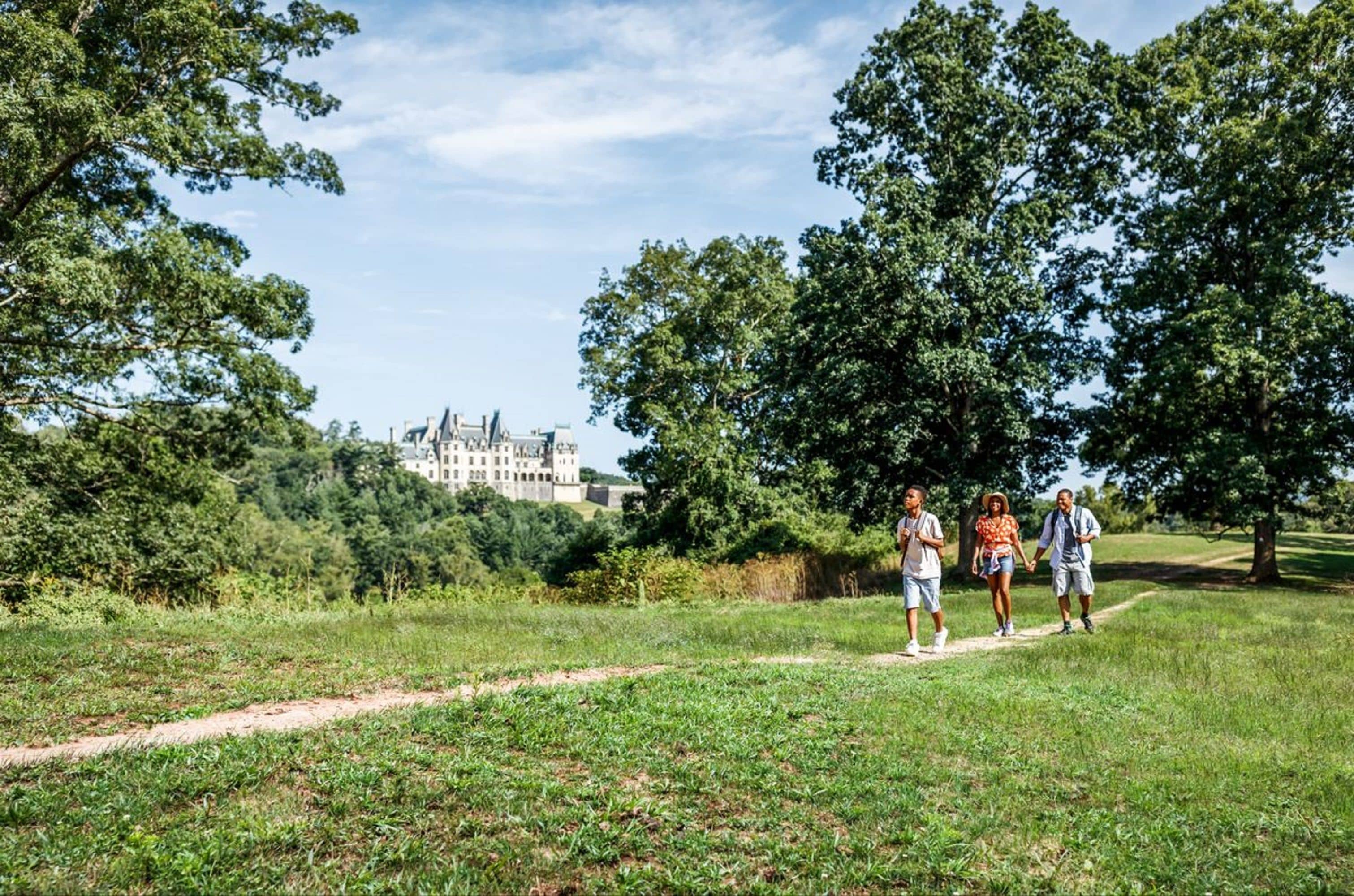 A pathway in a park with trees and a building in the background.