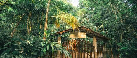 Estructura de madera rústica con techo de paja, rodeada de frondosa vegetación tropical.