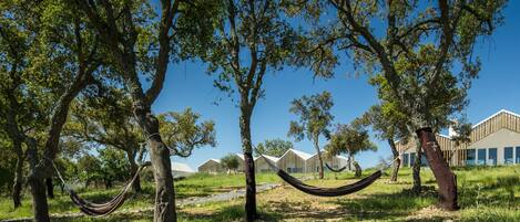 A hammock between trees in a grassy area with modern buildings in the background.