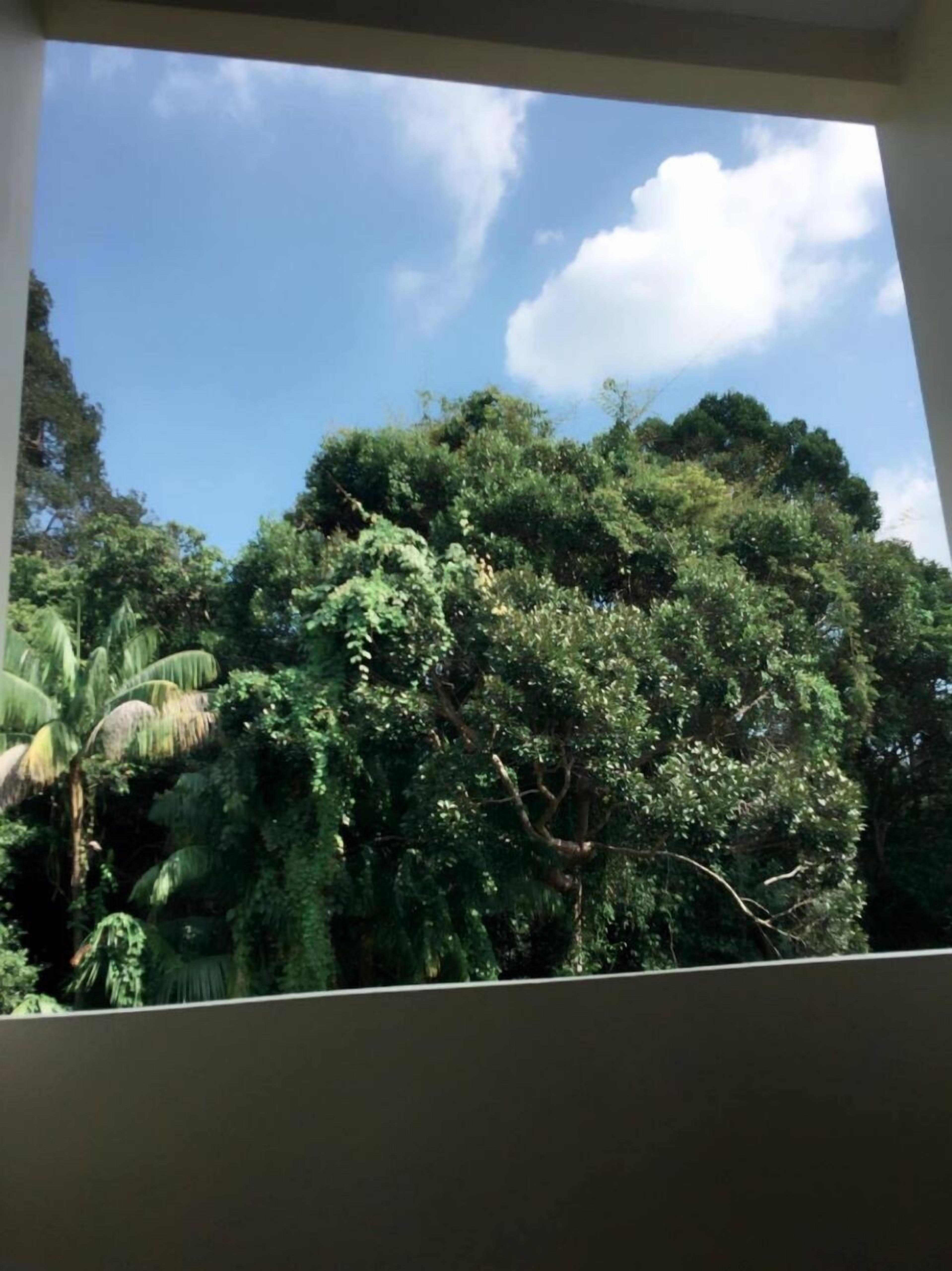 Foto - Morakot Lanta Resort