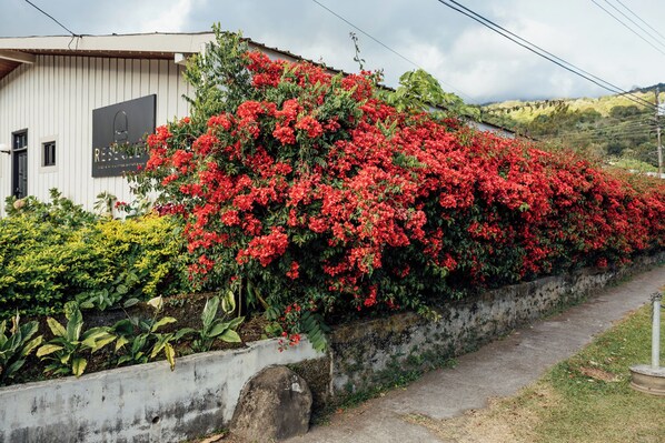 A building with a signboard, surrounded by a variety of plants and flowers.
