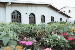 Exterior - Hotel Rebequet (Boquete)