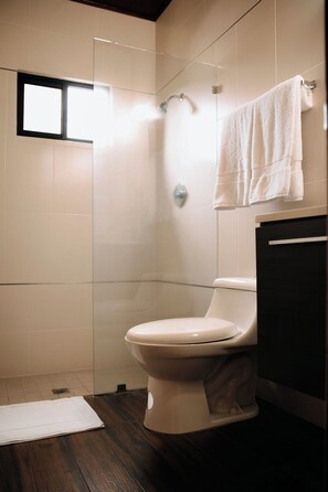 Dusche, kostenlose Toilettenartikel, Haartrockner, Handtücher