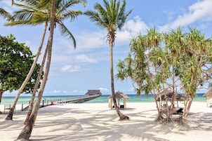 Una playa con palmeras, un muelle y una estructura de techo de paja.