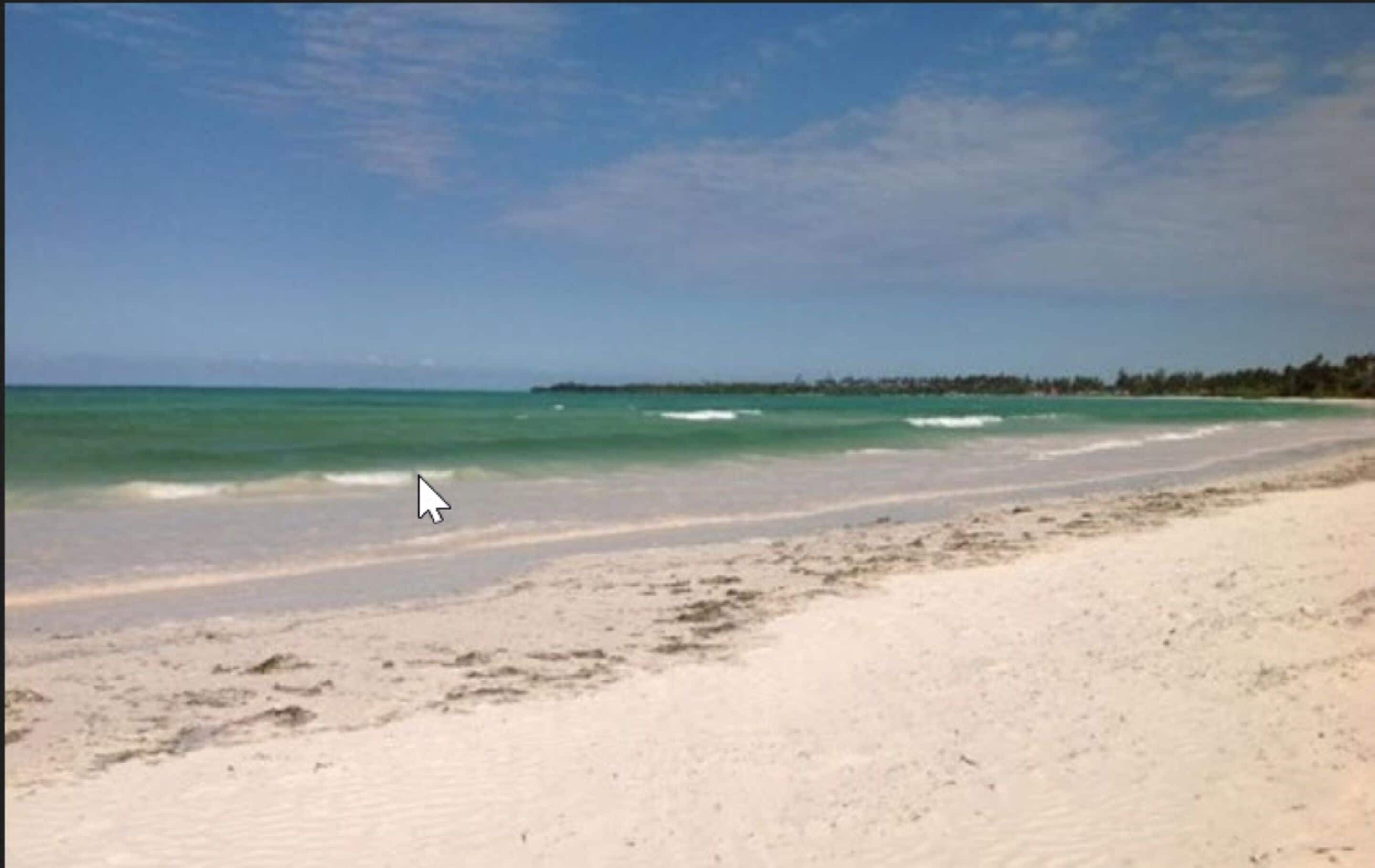 Une plage à l’eau turquoise et limpide, un rivage sablonneux et une ligne d’arbres à l’horizon.