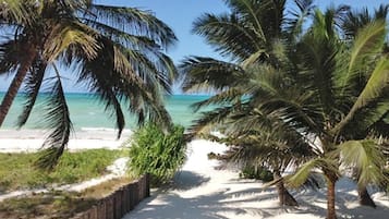 Junior suite, uitzicht op het strand | Exterieur