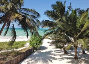 Junior Suite, Beach View | Exterior - Pongwe Bay Resort (Pongwe)