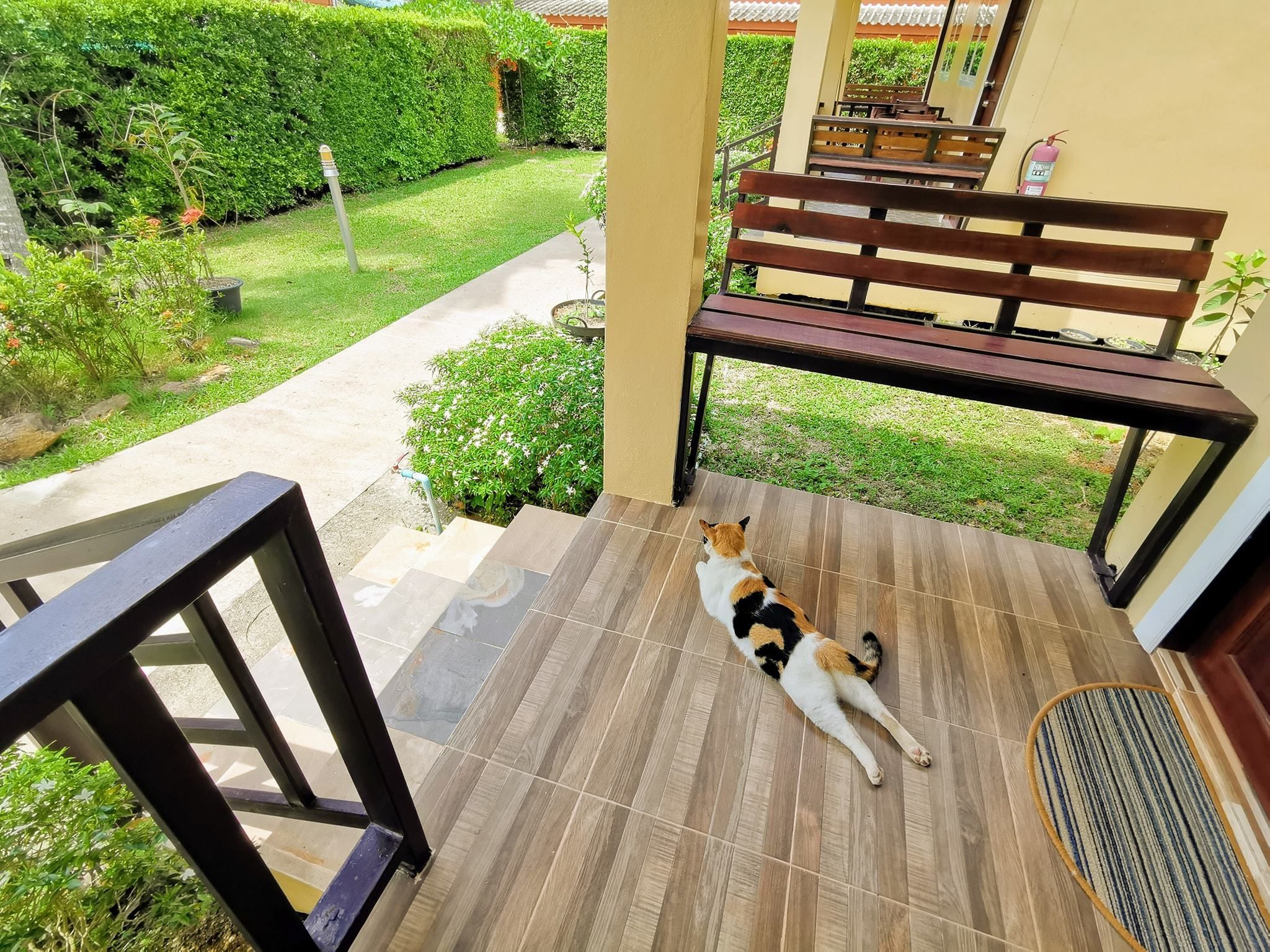 Foto - SER-EN-DIP-I-TY - SHA Extra Plus