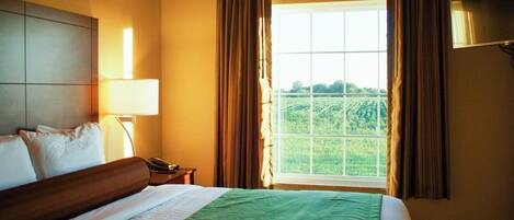 Habitación de hotel con cama, mesita de noche, lámpara, televisión y ventana con cortinas.