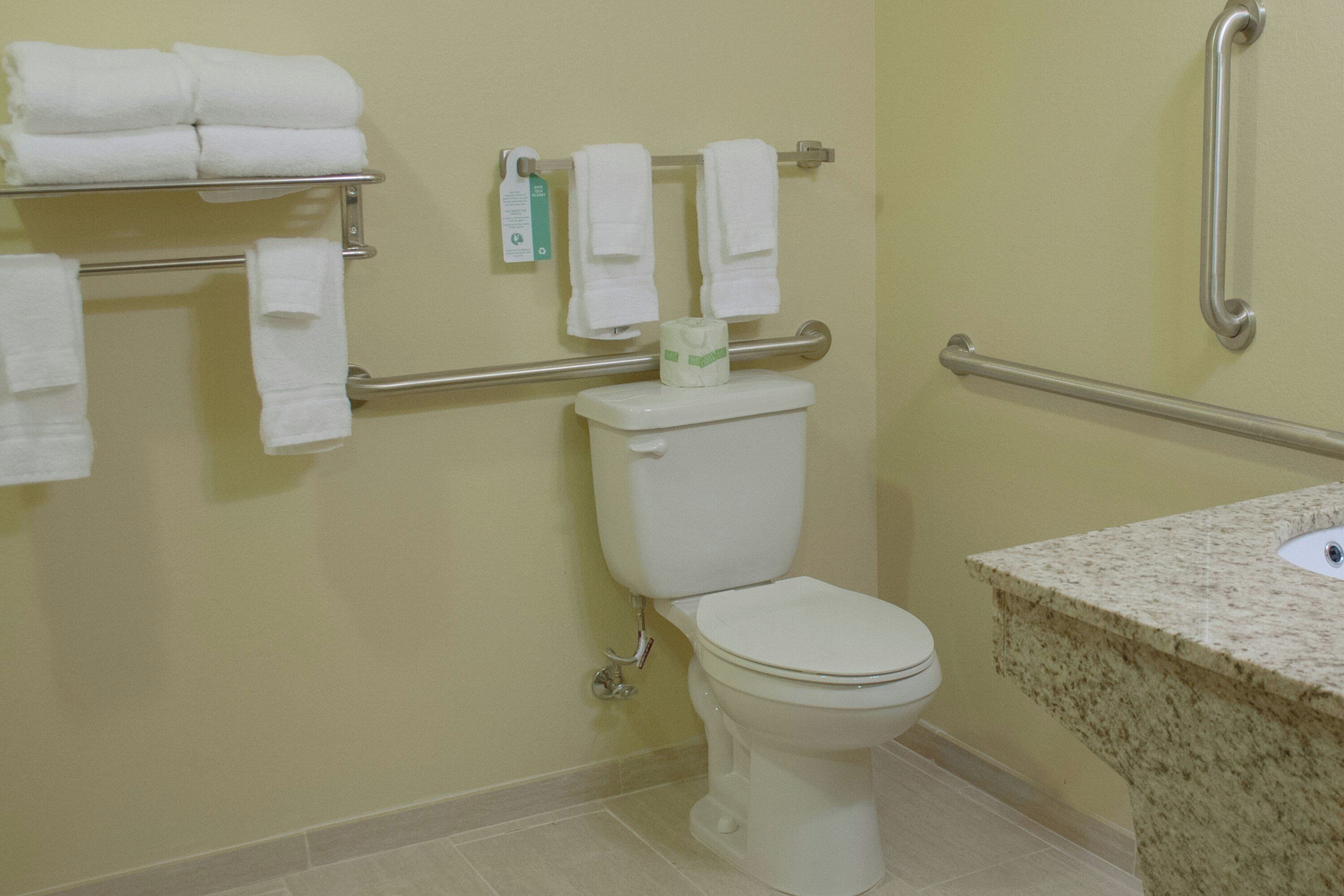 Un baño con inodoro, barras de apoyo, toallero y lavabo.