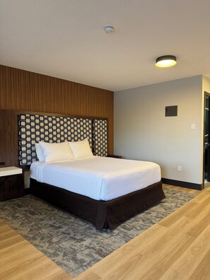 King Studio Suite with Kitchenette | Desk, laptop workspace, iron/ironing board, free WiFi - VIP Motel (Parksville)