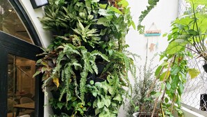 Jardín vertical con diversas plantas, un cartel de bienvenida y un marco de puerta.