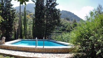 Outdoor pool, pool umbrellas, pool loungers