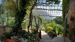 A garden pathway with stone walls and potted plants. -  Sa Vall Turismo de Interior (Valldemossa)