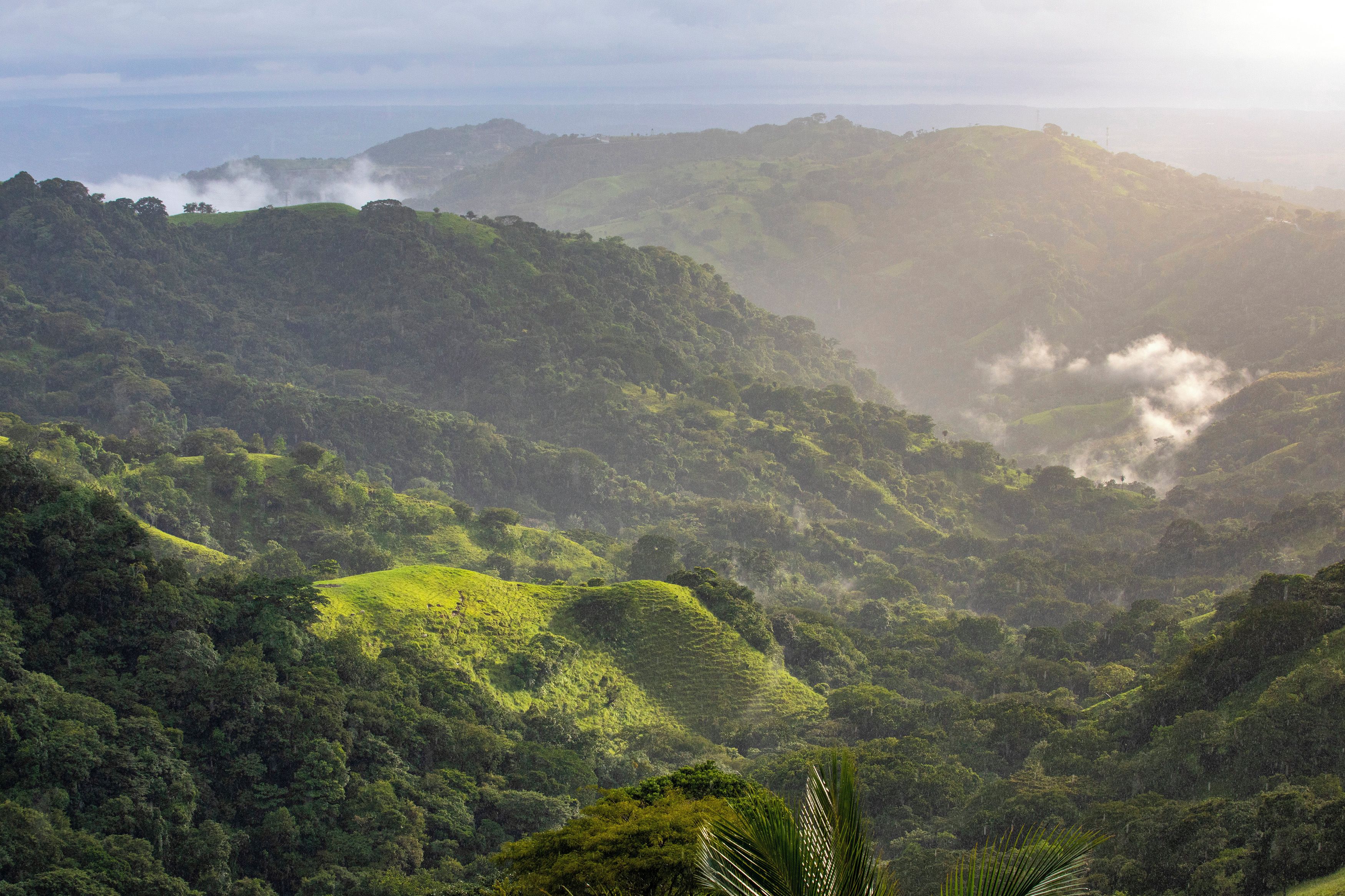 Uma paisagem exuberante com colinas ondulantes e vegetação densa.