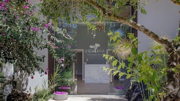 Una entrada de jardín con un sendero que lleva a un edificio con la leyenda 'VIDA MIA'.