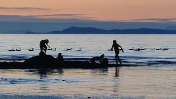 Una spiaggia nelle vicinanze