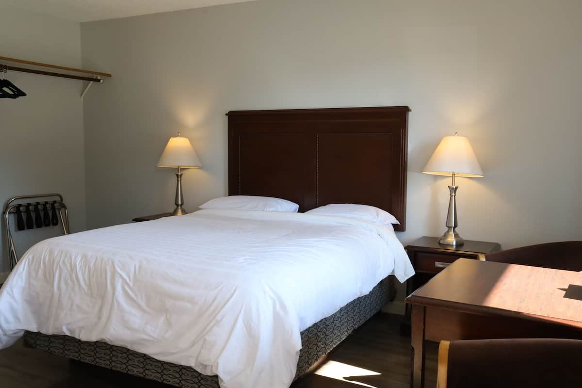 Chambre, 1 grand lit | Bureau, espace de travail pour ordinateur portable, Wi-Fi gratuit