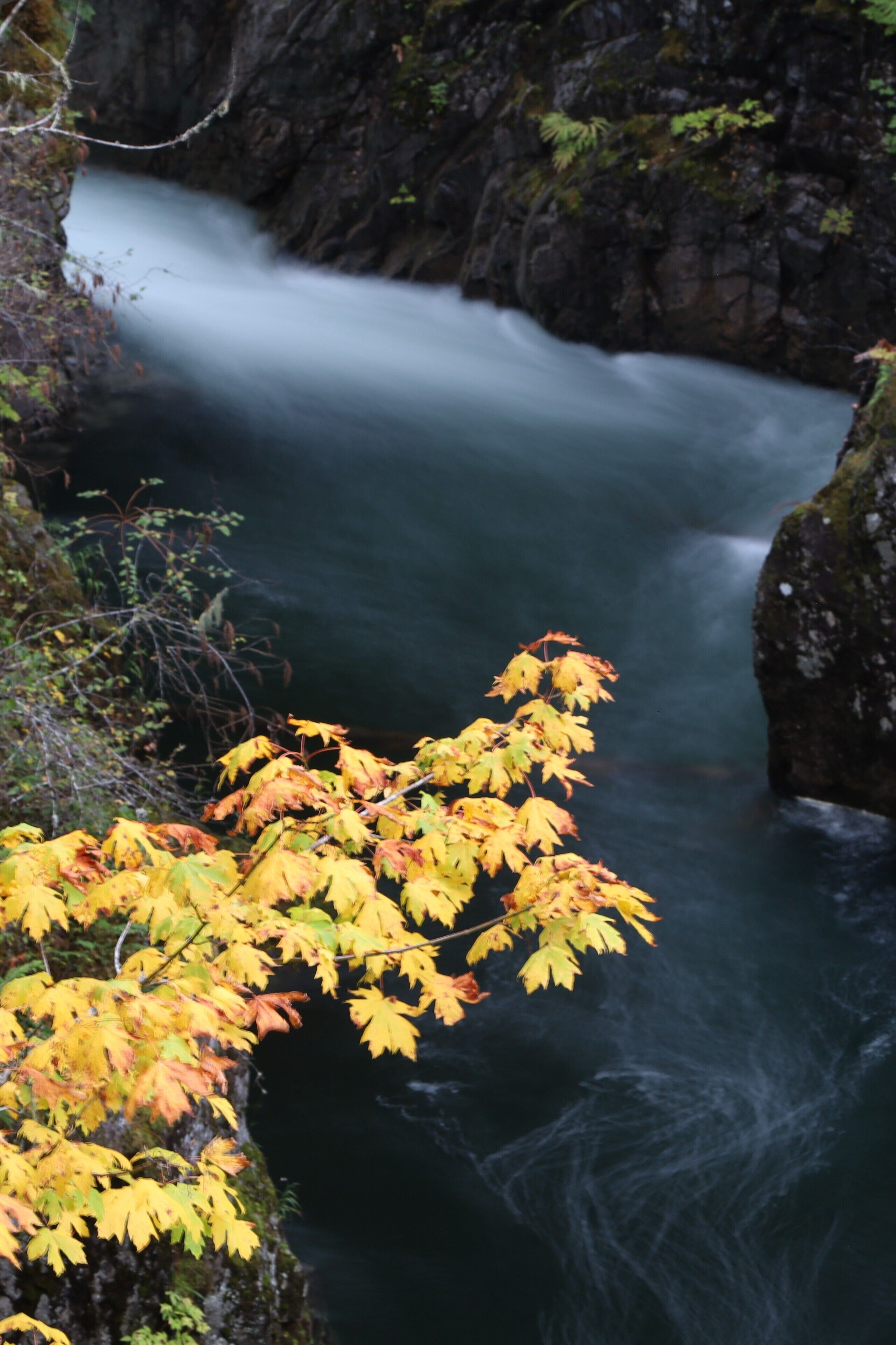 Een rivier die door een rotsachtig canyonlandschap stroomt, met herfstkleuren.