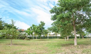 A park with several trees and a grassy area. - KeereeLay (Ko Lanta)
