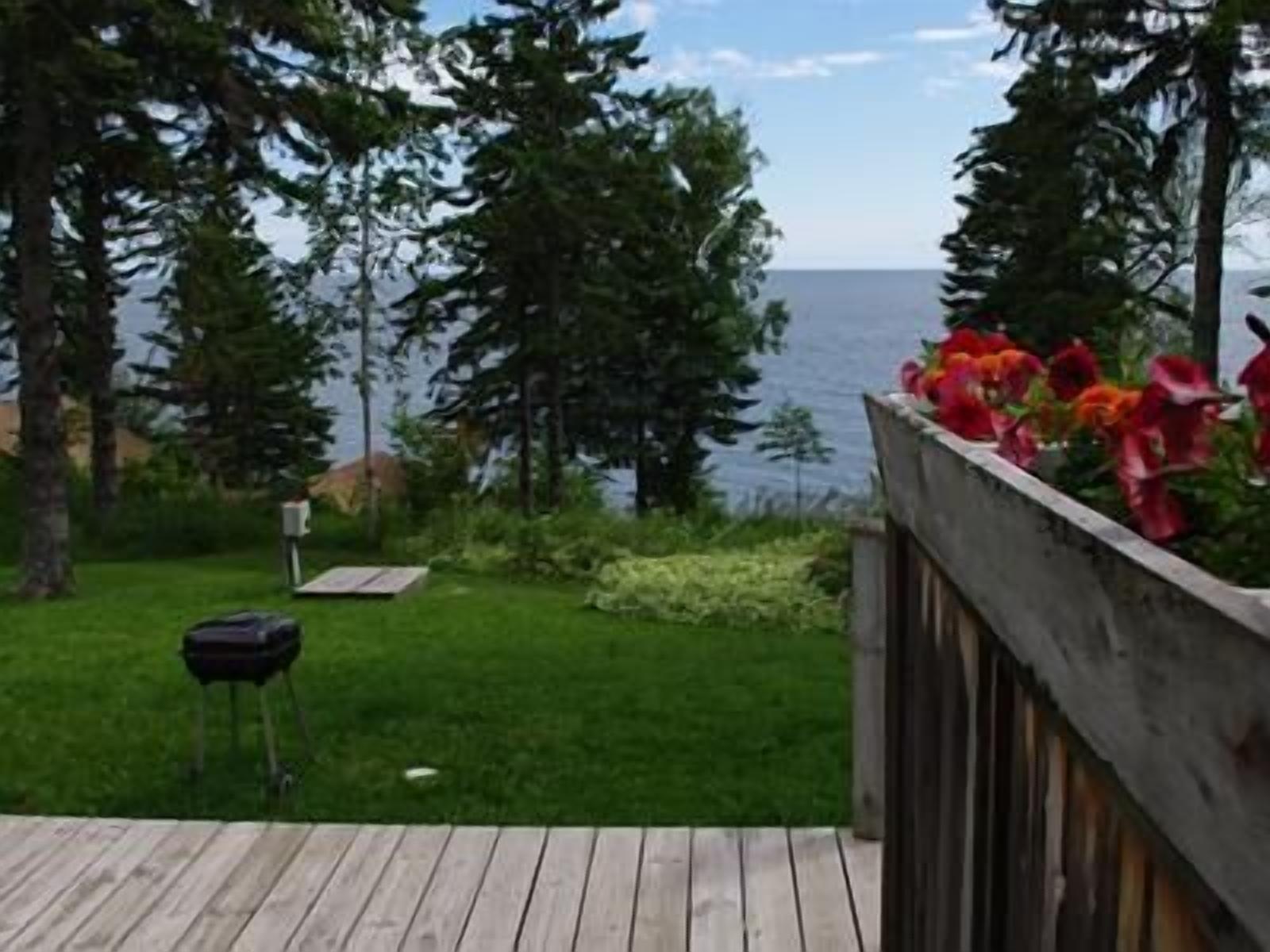 Eine Holzterrasse mit Grill und Blick auf den Ozean.