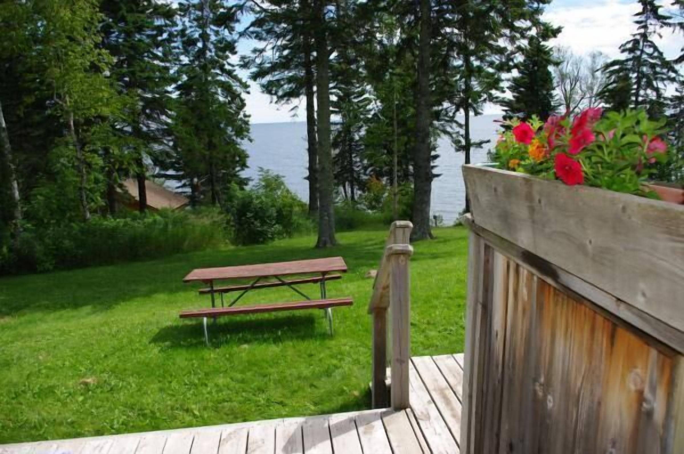 Una terraza de madera con mesa de picnic, rodeada de abundante vegetación y vistas a un lago.