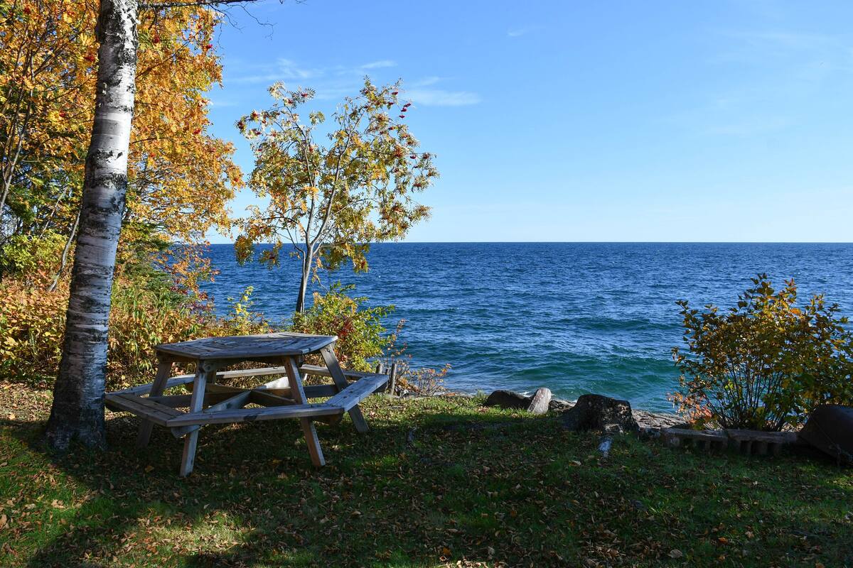 Une table de pique-nique au bord d’un lac, entourée de bouleaux, sous un ciel dégagé.