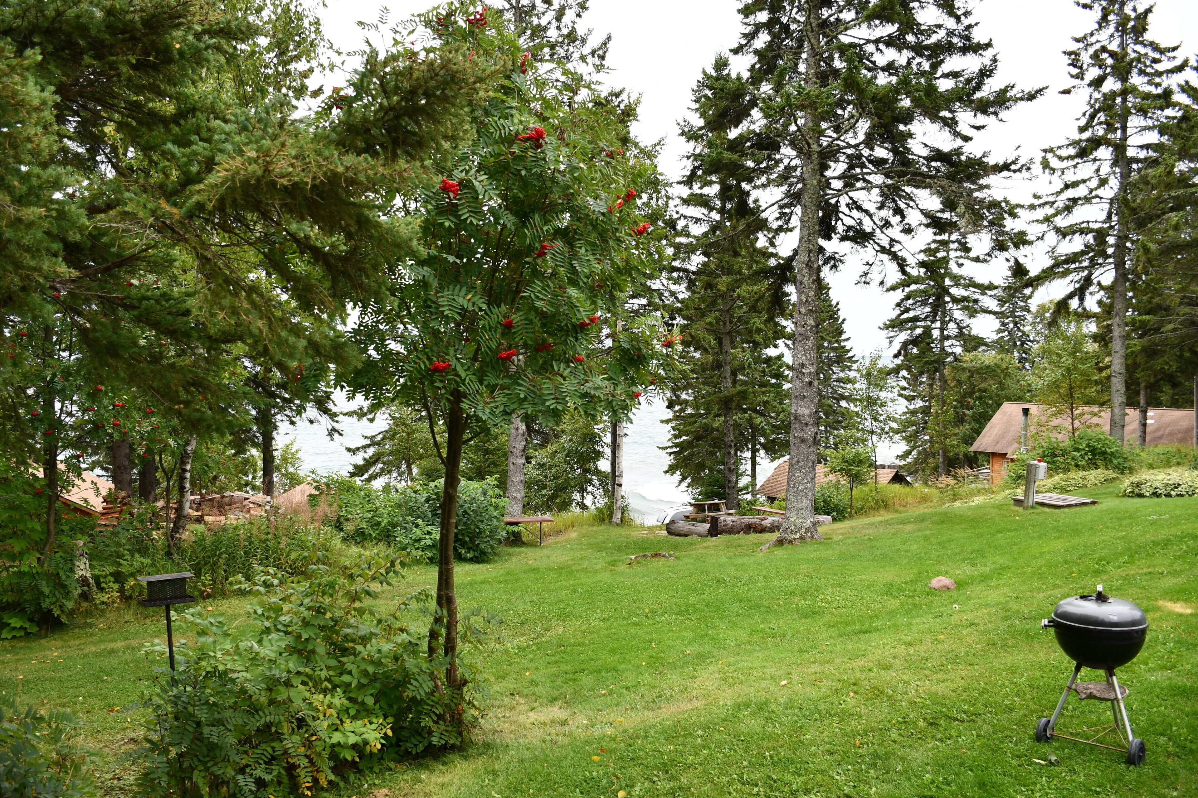 traditional room, 1 queen bed, kitchenette, lake view (motel unit not pet friendly) | garden view