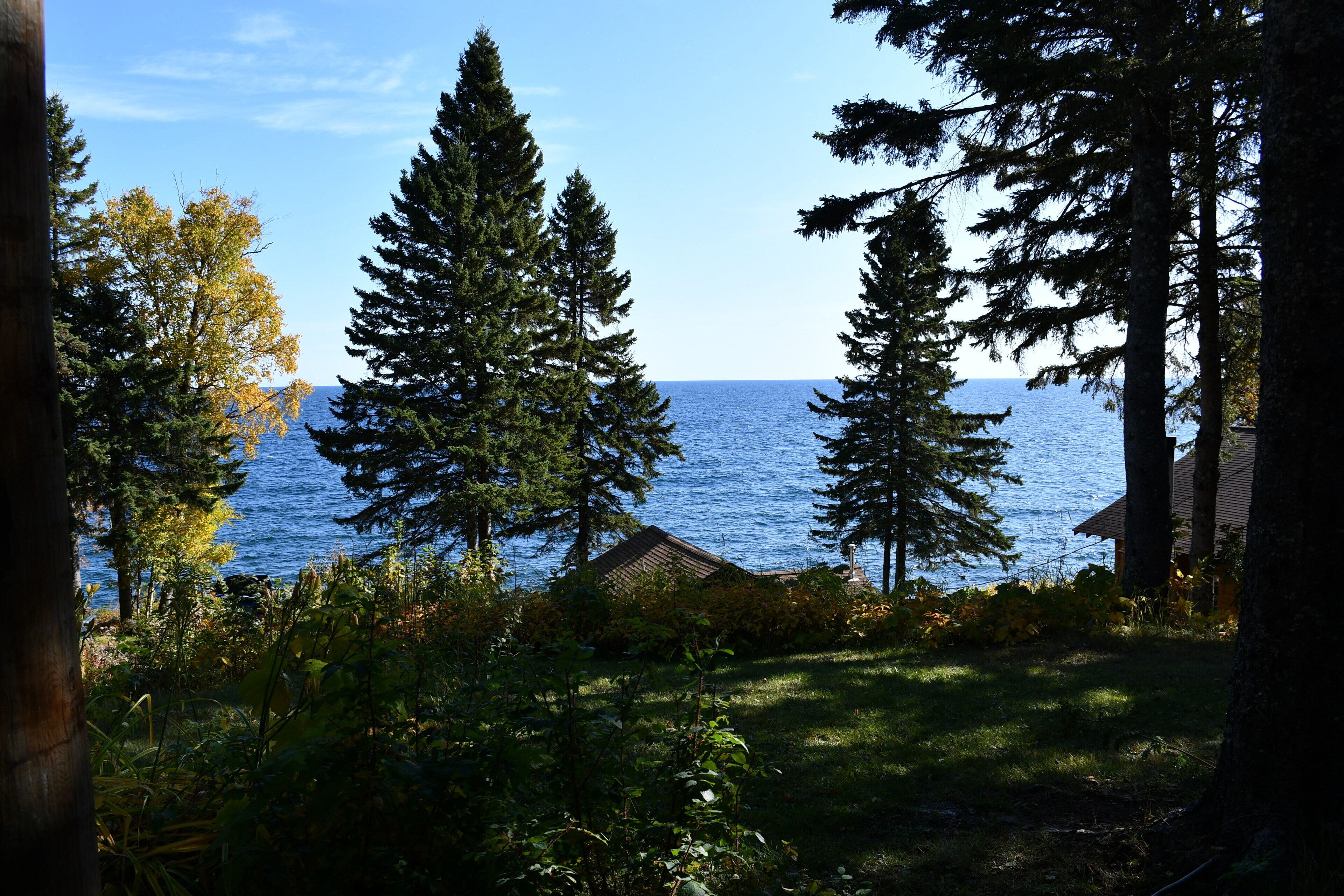 Lake view
