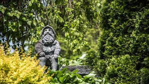 Une statue de pierre représentant un homme barbu, vêtu d’un manteau, entourée d’une végétation luxuriante et d’un mur de pierre.