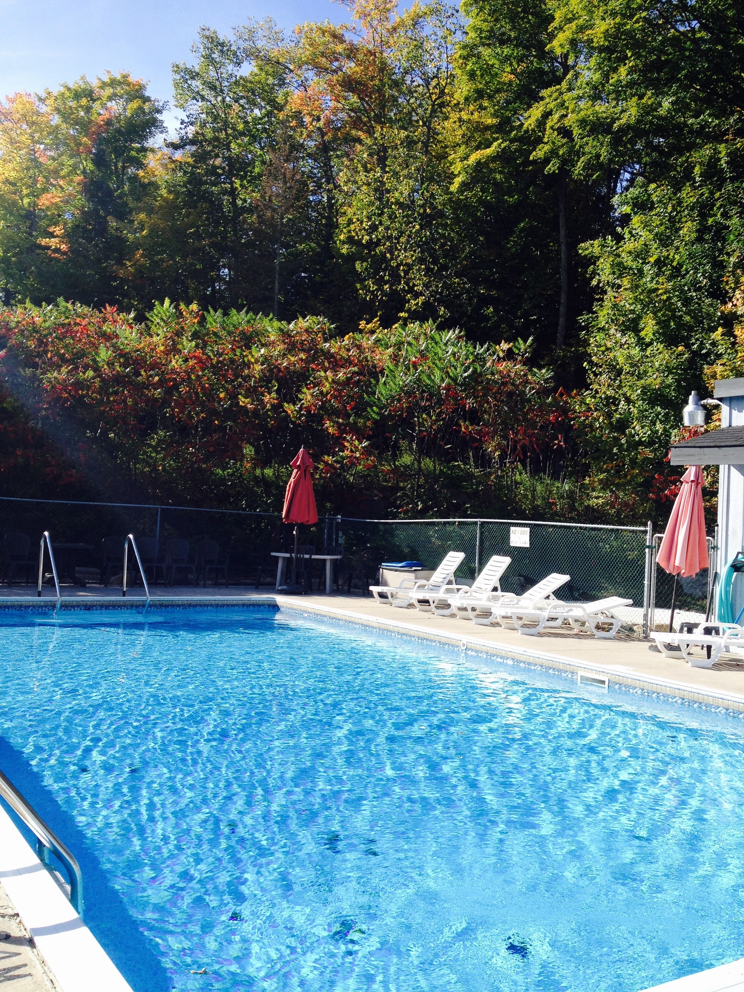 Outdoor pool, open 8:30 AM to 9:00 PM, pool loungers