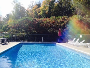 Outdoor pool, open 8:30 AM to 9:00 PM, pool loungers