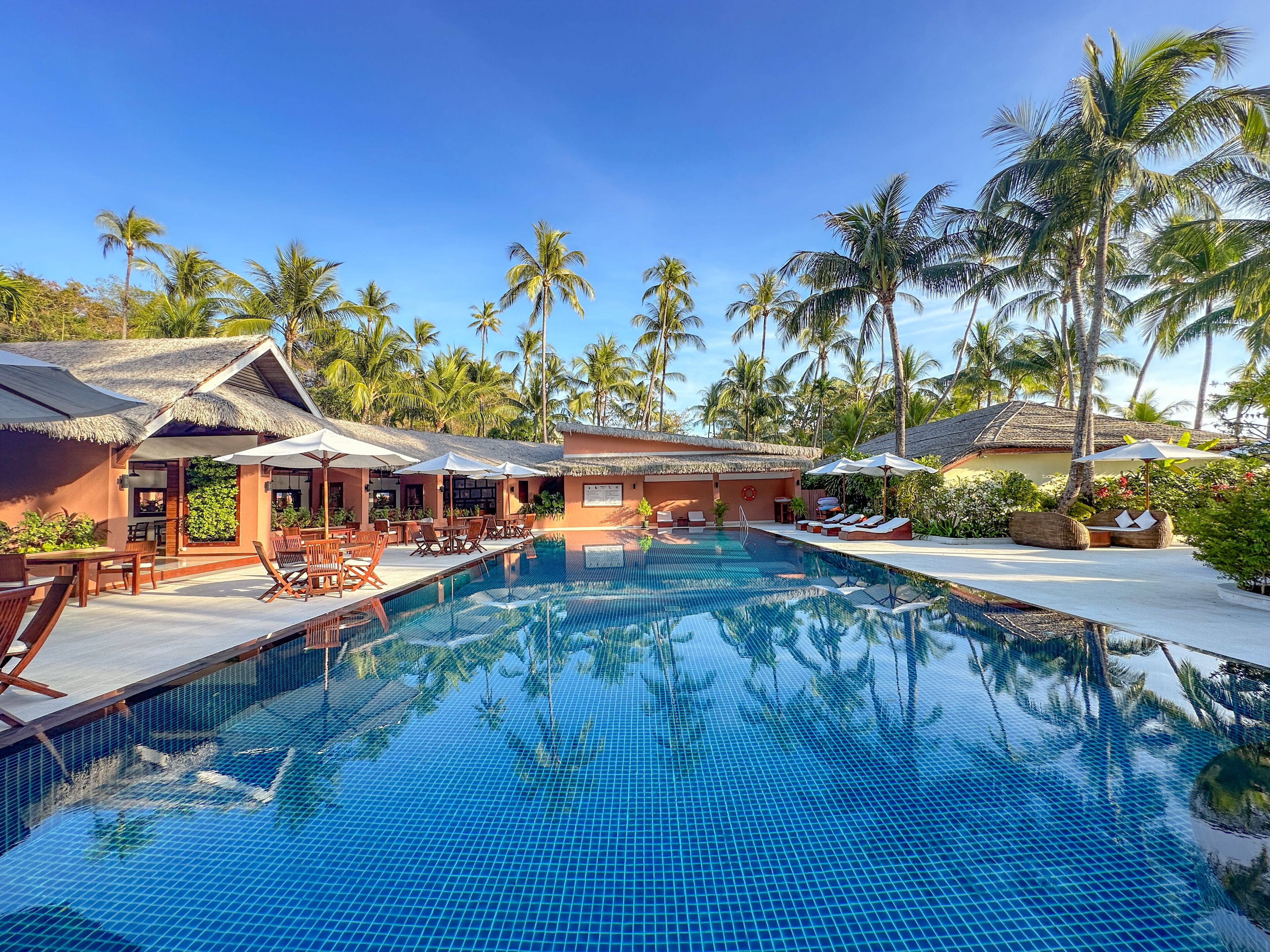 A pool area with lounge chairs and umbrellas, surrounded by palm trees.