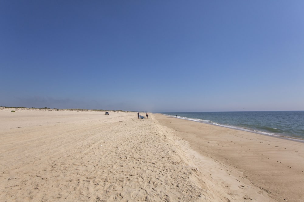 Beach Plum Resort