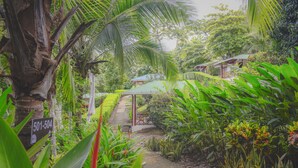 A pathway leading to a building surrounded by lush greenery and a sign with a phone number. - Hotel Cerro Lodge (Lagunillas)