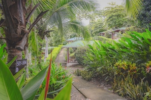 Vista para o jardim