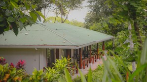 A house with a green roof, surrounded by lush greenery and trees. - Hotel Cerro Lodge (Lagunillas)