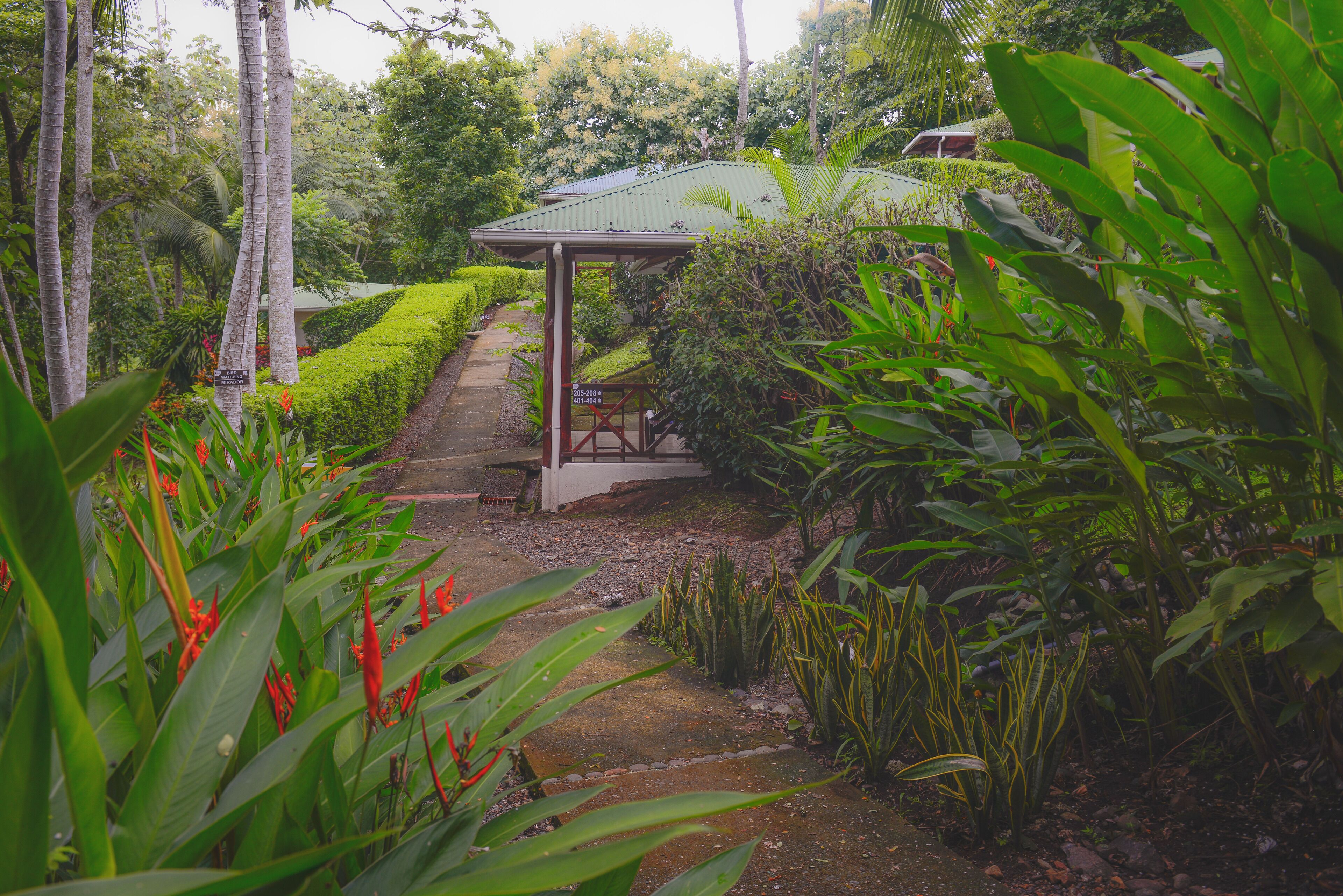 Foto - Hotel Cerro Lodge