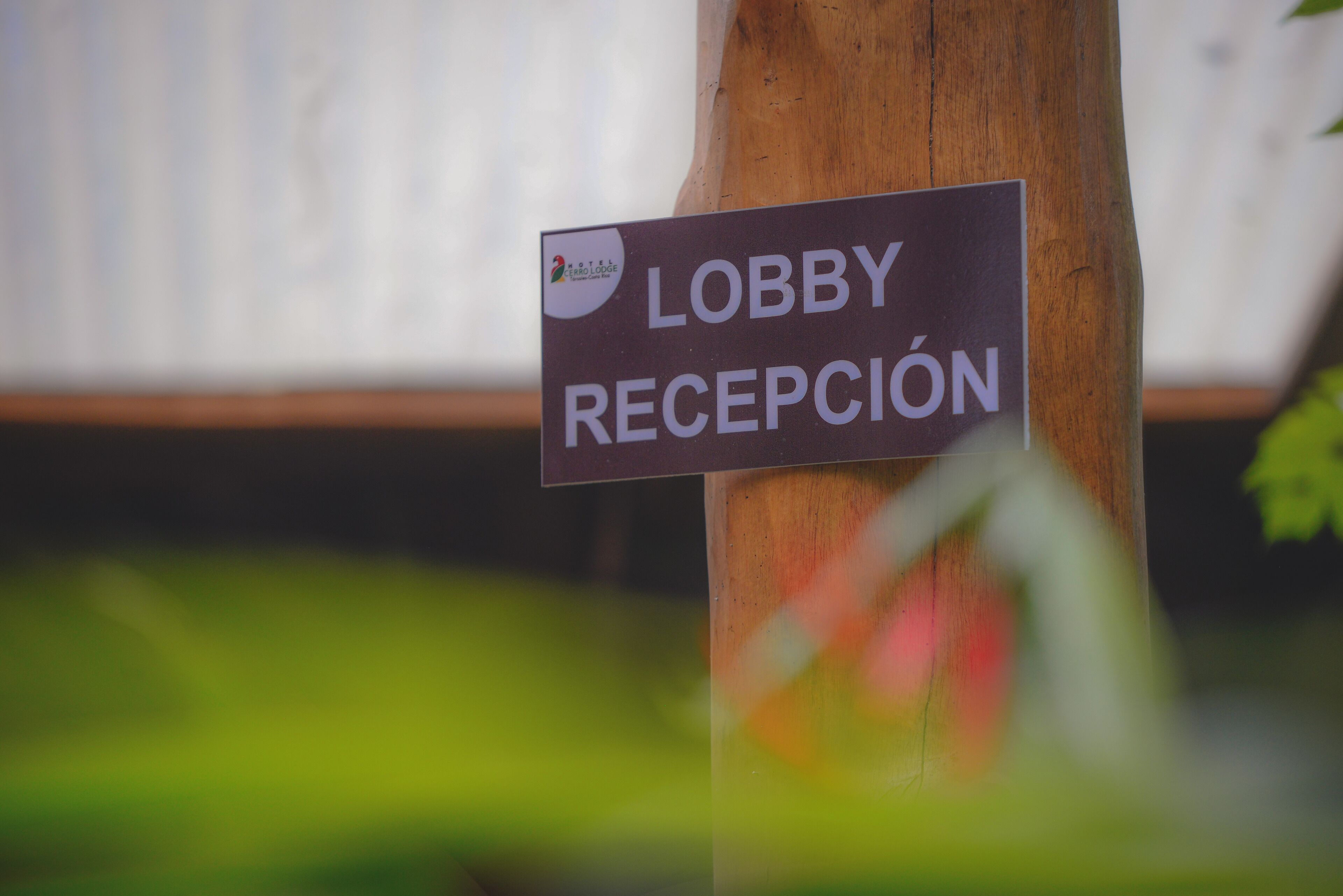 Foto - Hotel Cerro Lodge