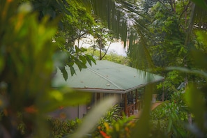 Jardim