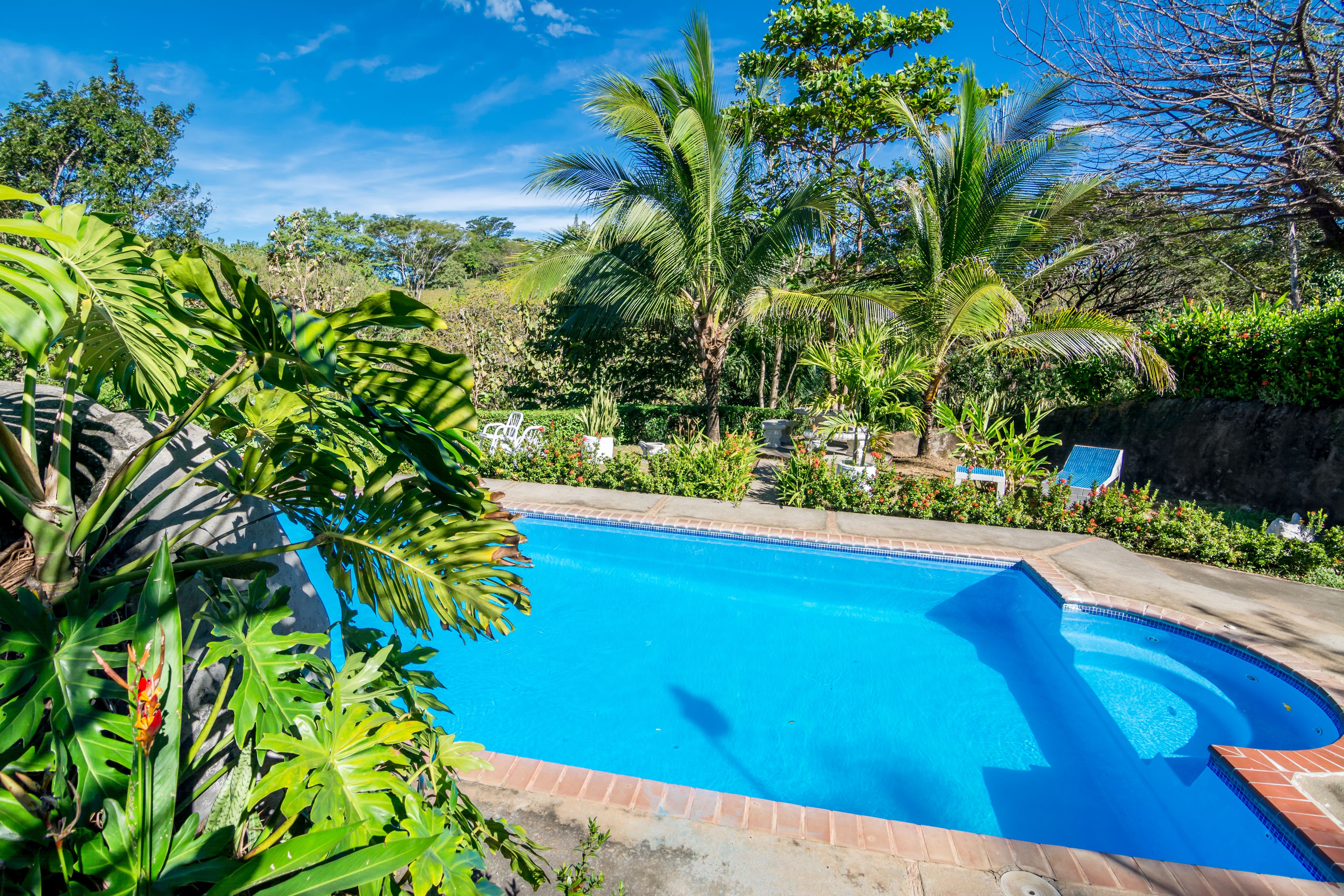 A swimming pool surrounded by lush greenery and palm trees.