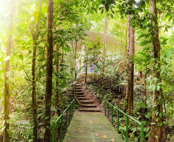 Bungalow básico, 1 habitación, para no fumadores, vista a la montaña | Camas extra y ropa de cama 