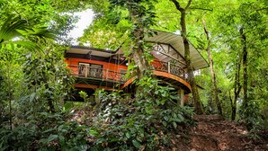 Ein Baumhaus mit einem geschwungenen Balkon, umgeben von dichtem Wald.