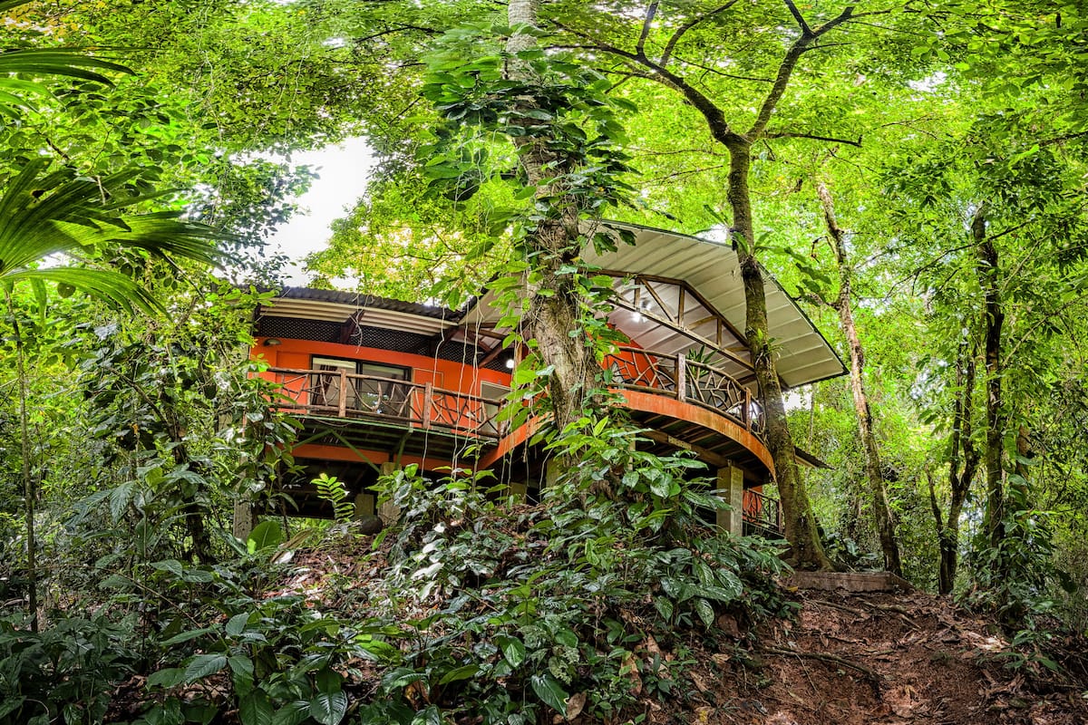 A treehouse with a curved balcony, surrounded by dense forest.